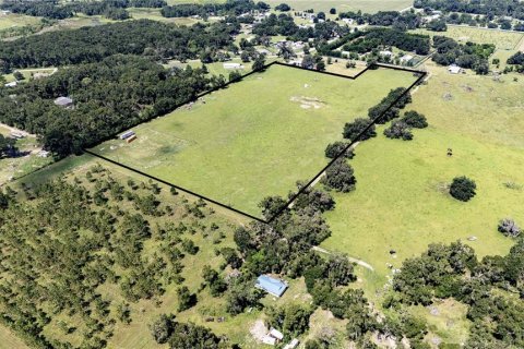 Land in Dade City, Florida № 1830023 - photo 4