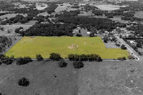 Land in Dade City, Florida № 1830023 - photo 13