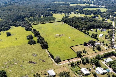 Land in Dade City, Florida № 1830023 - photo 9
