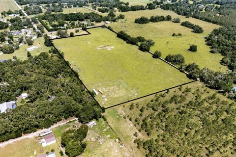 Land in Dade City, Florida № 1830023 - photo 6