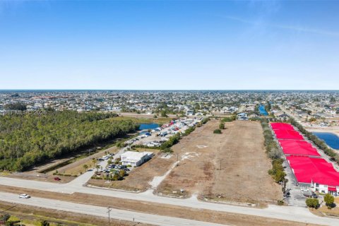 Commercial property in Cape Coral, Florida № 2073566