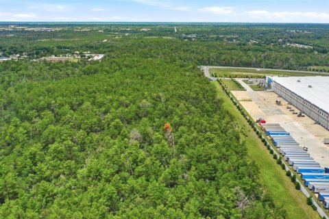 Land in Deltona, Florida № 2227936 - photo 14