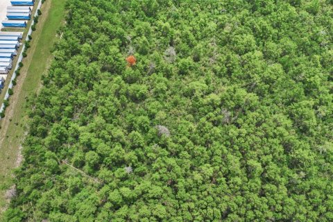 Land in Deltona, Florida № 2227936 - photo 24