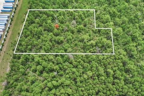 Land in Deltona, Florida № 2227936 - photo 25