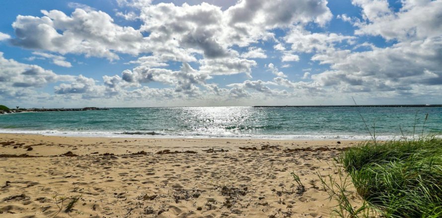 Condo à Fort Lauderdale, Floride, 3 chambres  № 2078090