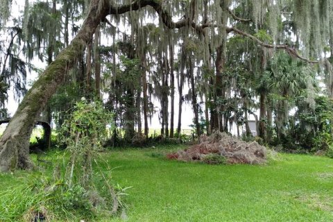 House in Hawthorne, Florida 3 bedrooms, 162.39 sq.m. № 1882704 - photo 8