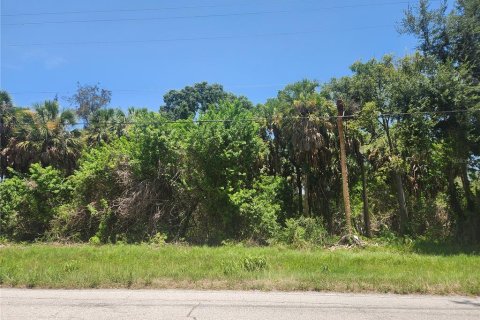Land in Ruskin, Florida № 2259038