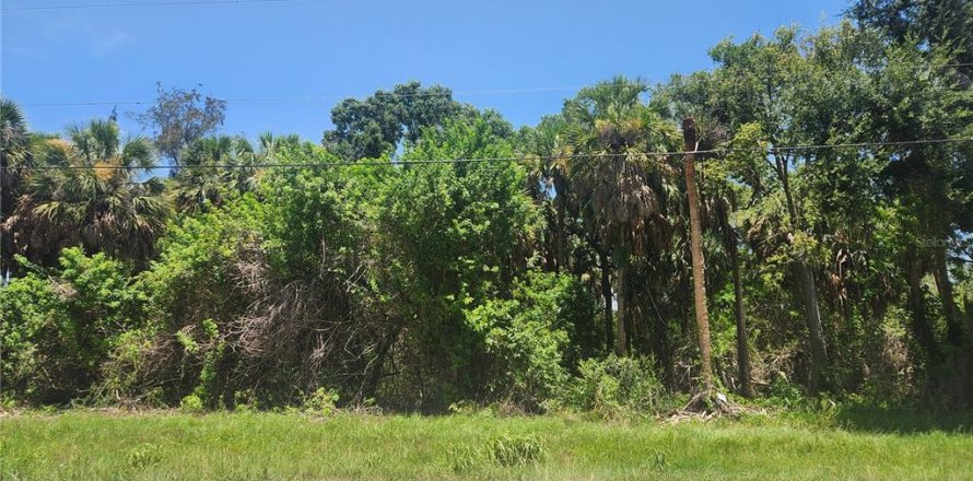 Terrain à Ruskin, Floride № 2259038