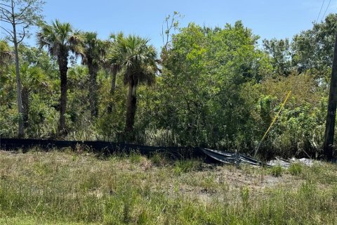 Terreno en venta en Naples, Florida № 1650669 - foto 5