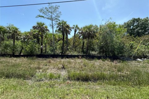 Terreno en venta en Naples, Florida № 1650669 - foto 3