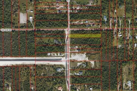 Terreno en venta en Naples, Florida № 1650669 - foto 6