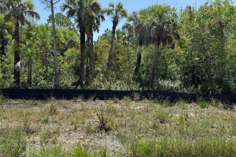Terreno en venta en Naples, Florida № 1650669 - foto 4