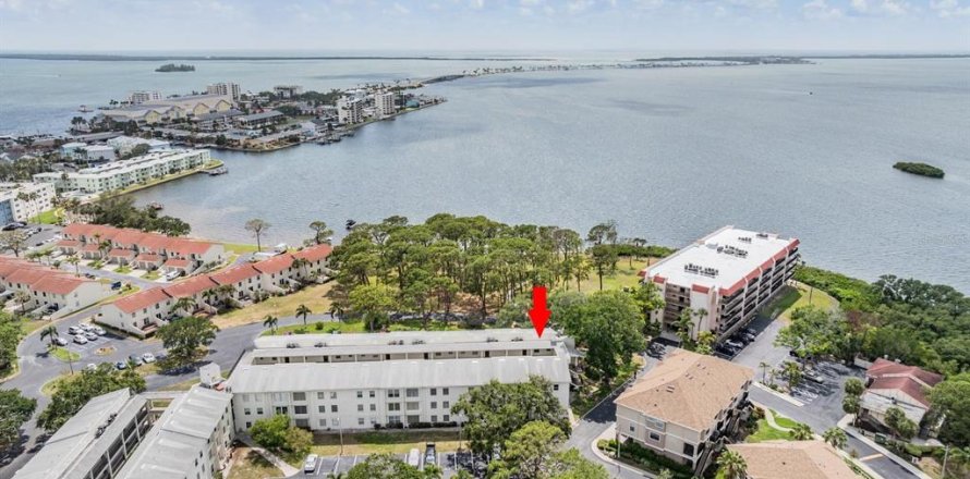 Condo in Dunedin, Florida, 2 bedrooms  № 1802084
