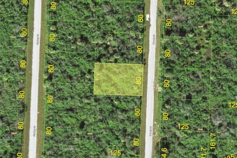 Land in Port Charlotte, Florida № 2161769 - photo 2