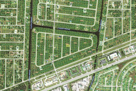 Land in Port Charlotte, Florida № 2161769 - photo 4
