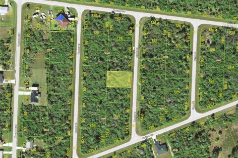 Land in Port Charlotte, Florida № 2161769