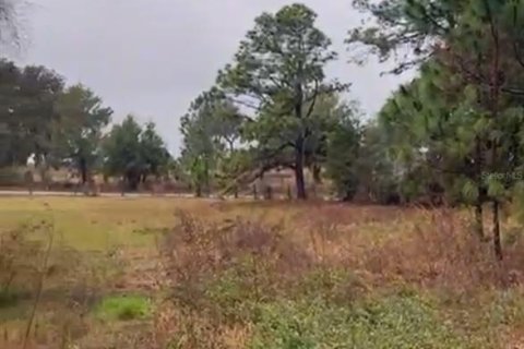 Land in Crescent City, Florida № 1581810 - photo 21