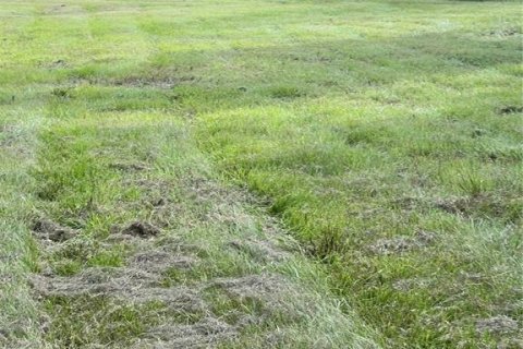 Terreno en venta en Crescent City, Florida № 1581810 - foto 14