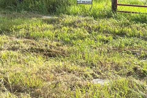 Land in Crescent City, Florida № 1581810 - photo 16
