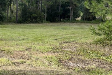 Land in Crescent City, Florida № 1581810 - photo 8