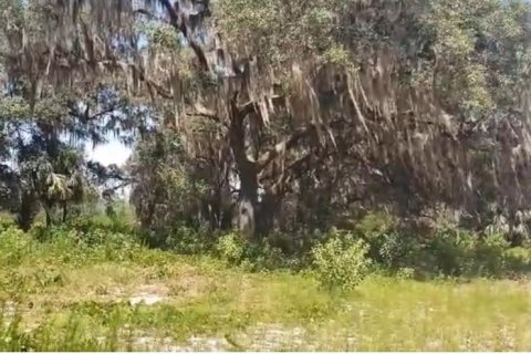 Land in Crescent City, Florida № 1581810 - photo 17