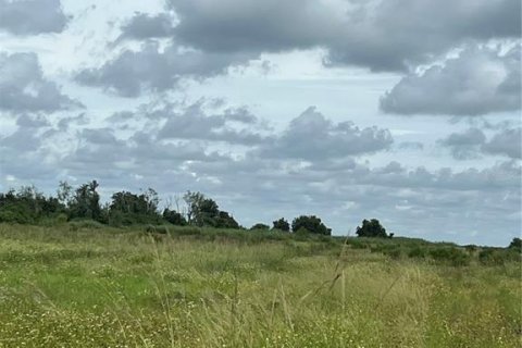 Land in Arcadia, Florida № 1910486 - photo 2
