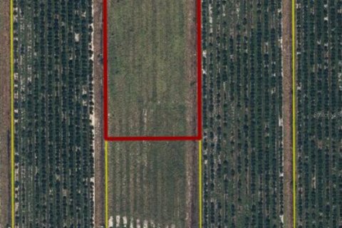 Land in Arcadia, Florida № 1910486 - photo 4