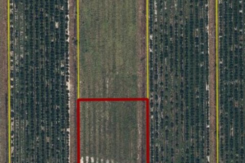 Land in Arcadia, Florida № 1910486 - photo 3