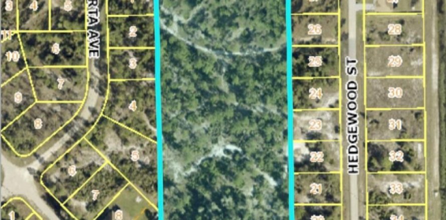 Land in Lehigh Acres, Florida № 1221596
