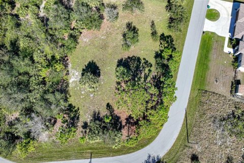 Land in Port Charlotte, Florida № 1508003 - photo 10