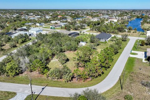 Land in Port Charlotte, Florida № 1508003 - photo 14