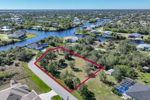 Land in Port Charlotte, Florida № 1508003 - photo 1