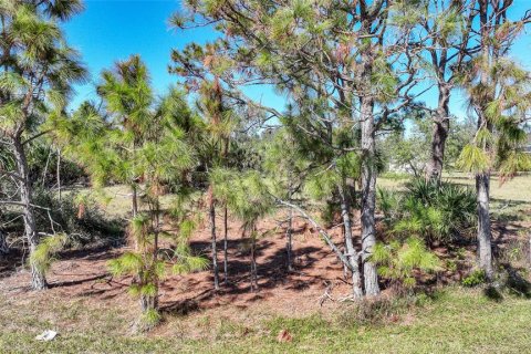Land in Port Charlotte, Florida № 1508003 - photo 5