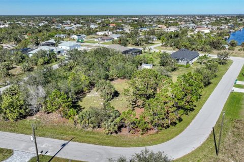 Land in Port Charlotte, Florida № 1508003 - photo 16