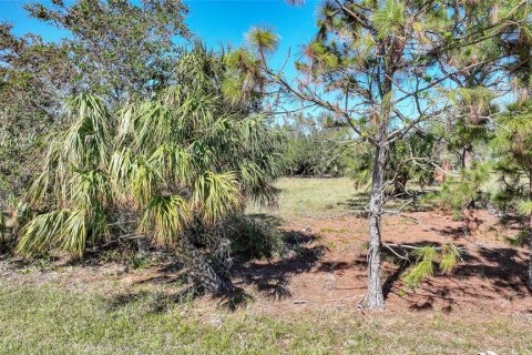 Land in Port Charlotte, Florida № 1508003 - photo 6