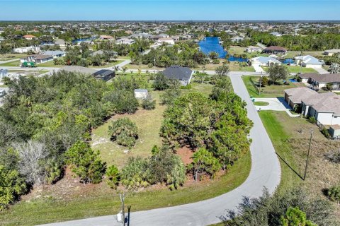 Land in Port Charlotte, Florida № 1508003 - photo 15