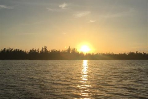 Land in Port Charlotte, Florida № 1508003 - photo 29