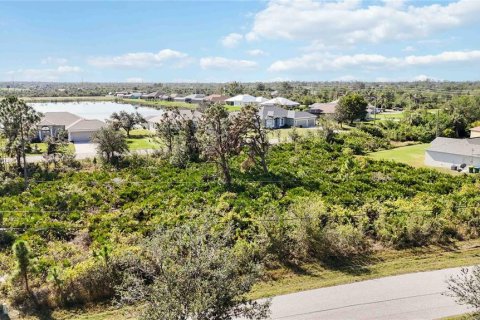 Land in Port Charlotte, Florida № 1569938 - photo 11