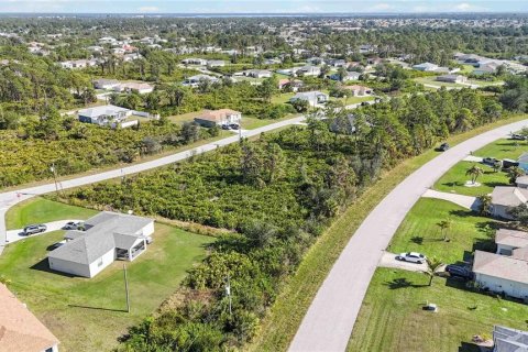 Land in Port Charlotte, Florida № 1569938 - photo 2