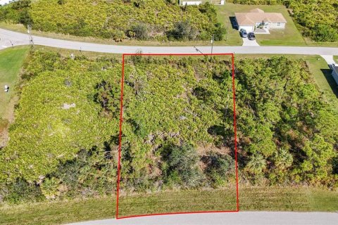 Land in Port Charlotte, Florida № 1569938 - photo 1