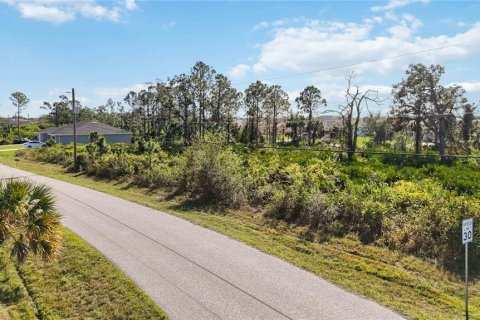Land in Port Charlotte, Florida № 1569938 - photo 21