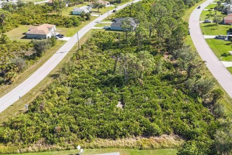 Land in Port Charlotte, Florida № 1569938 - photo 19