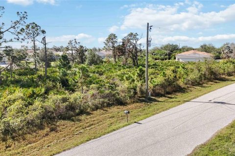 Land in Port Charlotte, Florida № 1569938 - photo 13