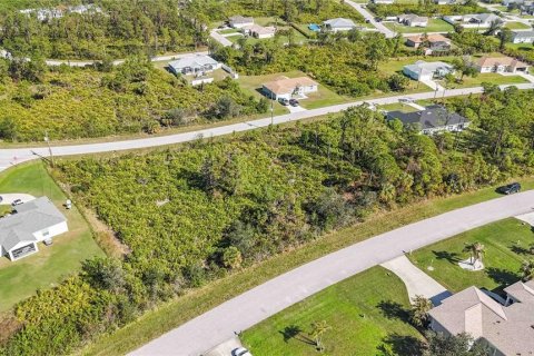 Land in Port Charlotte, Florida № 1569938 - photo 4