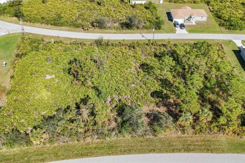 Land in Port Charlotte, Florida № 1569938 - photo 6