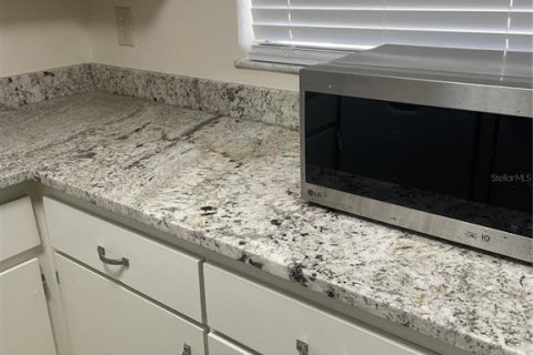 Copropriété à louer à Seminole, Floride: 1 chambre, 62.24 m2 № 2213415 - photo 10