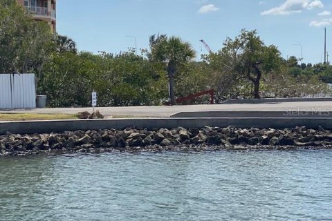 Apartamento en alquiler en Tampa, Florida, 1 dormitorio, 74.32 m2 № 1513864 - foto 16