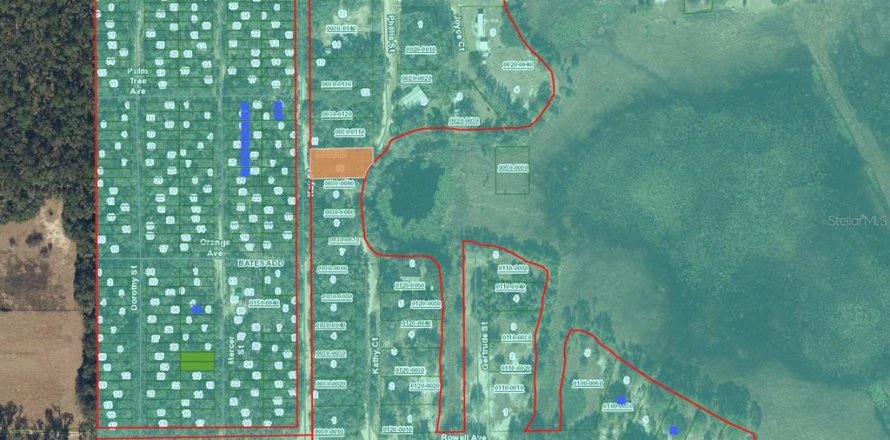 Terrain à Interlachen, Floride № 2234964
