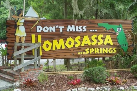 House in Homosassa, Florida 4 bedrooms, 290.78 sq.m. № 2111432 - photo 25