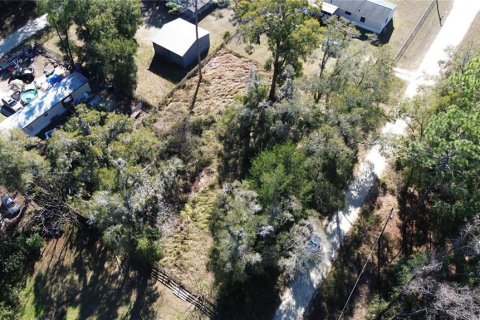 Terrain à vendre à Ocala, Floride № 2229653 - photo 3
